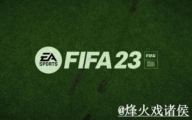 美加墨世界杯APP官网操作说明，版本选择和安卓苹果区别怎么处理